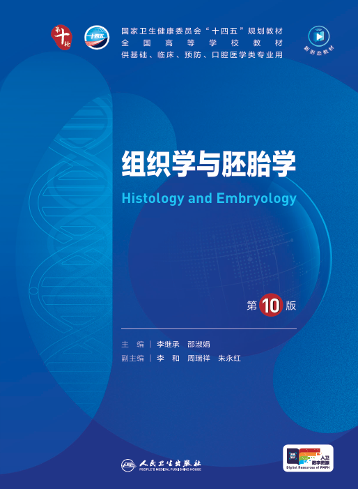 组织学与胚胎学